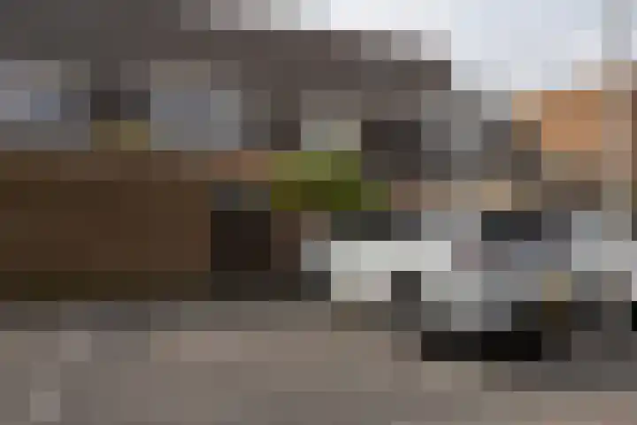 Rietmeerplantsoen 31 Berkel en Rodenrijs thumbnail 44