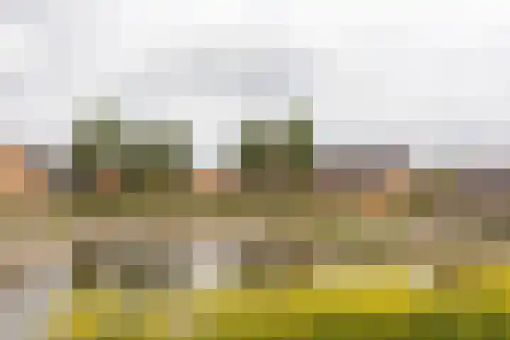 Rietmeerplantsoen 31 Berkel en Rodenrijs thumbnail 46