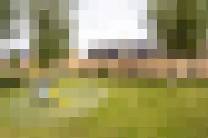 Rietmeerplantsoen 31 Berkel en Rodenrijs thumbnail 5