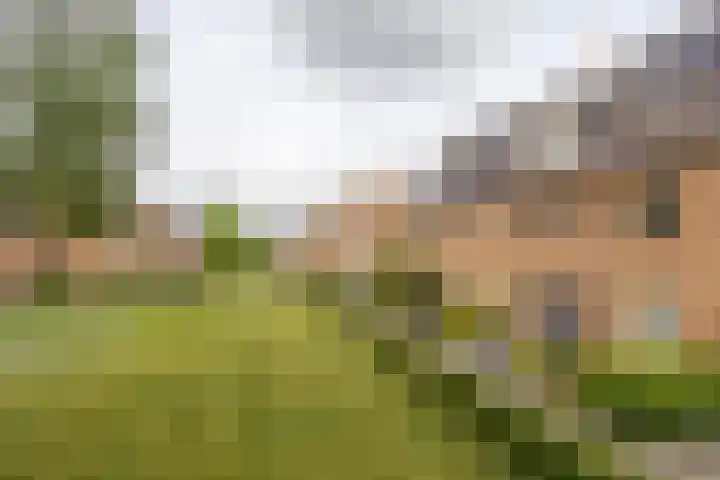Rietmeerplantsoen 31 Berkel en Rodenrijs thumbnail 6