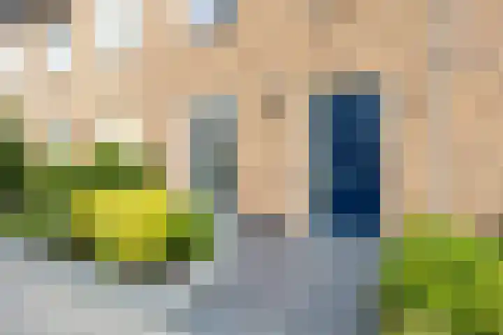 Rietmeerplantsoen 31 Berkel en Rodenrijs thumbnail 8