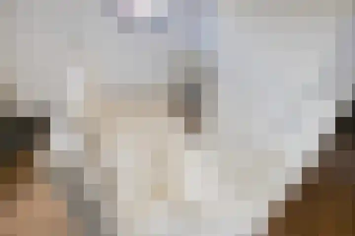 Rietmees 11 Emmen thumbnail 16