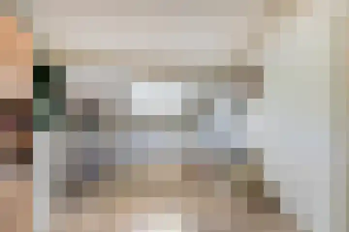 Rietmees 11 Emmen thumbnail 17