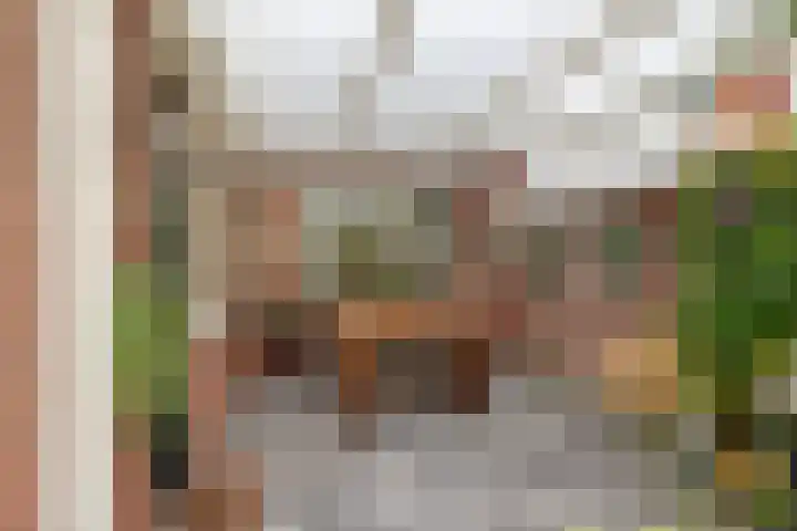 Rietmees 11 Emmen thumbnail 18