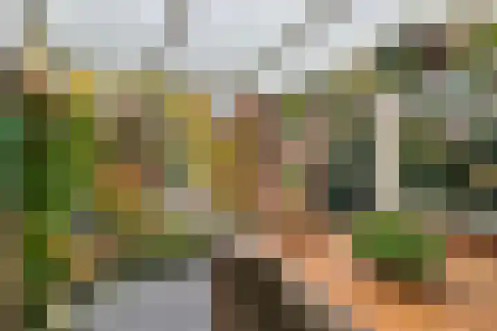 Rietmees 11 Emmen thumbnail 19