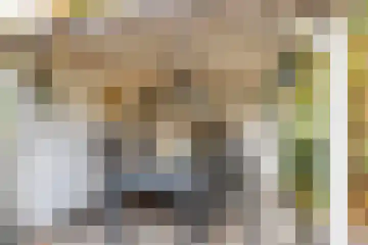 Rietmees 11 Emmen thumbnail 21