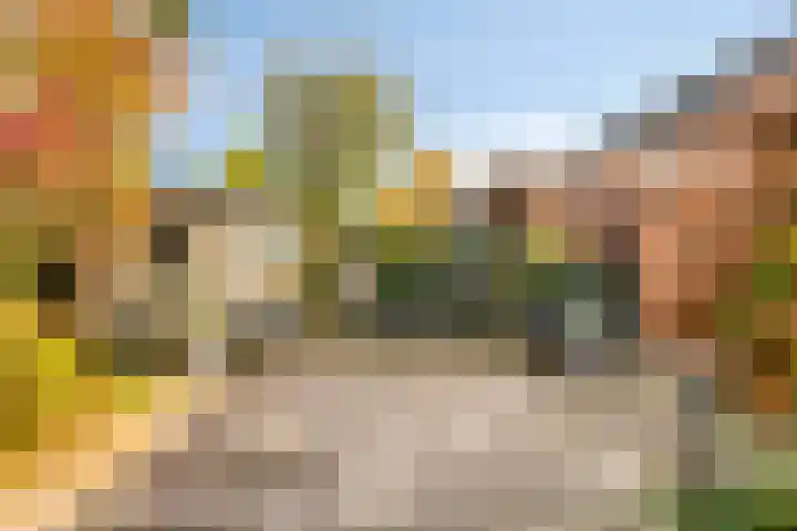 Rietmees 11 Emmen thumbnail 22