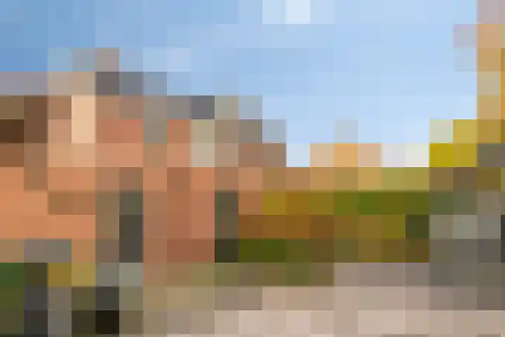 Rietmees 11 Emmen thumbnail 23