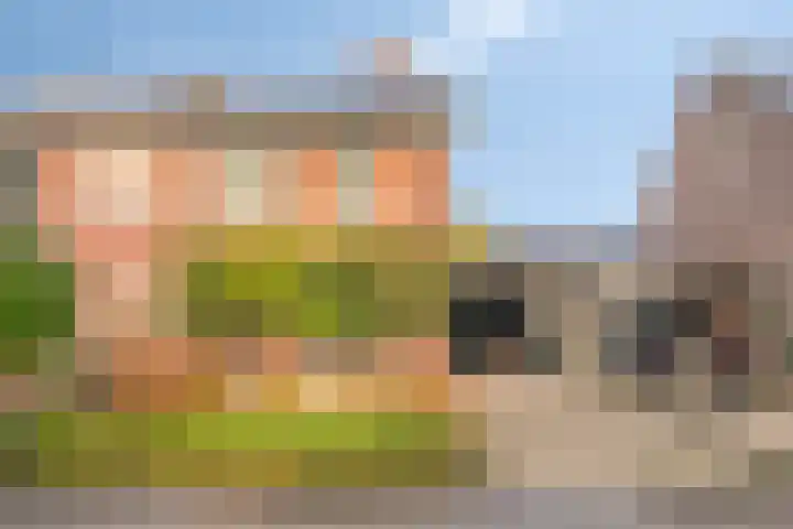 Rietmees 11 Emmen thumbnail 24