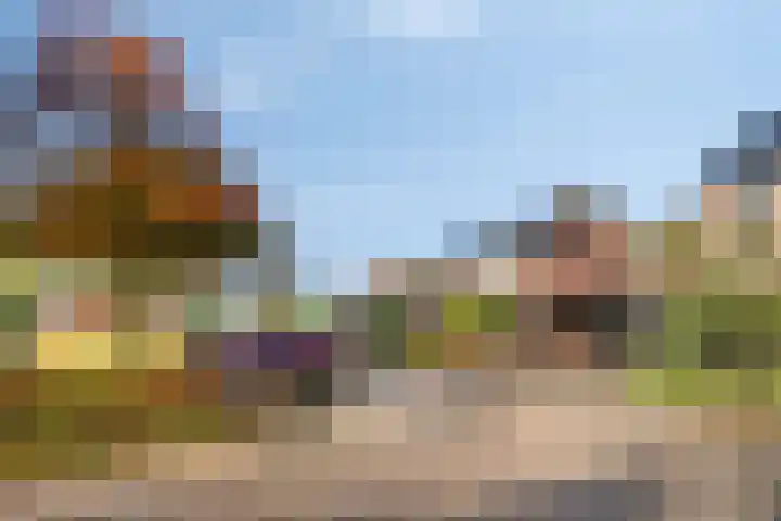 Rietmees 11 Emmen thumbnail 25
