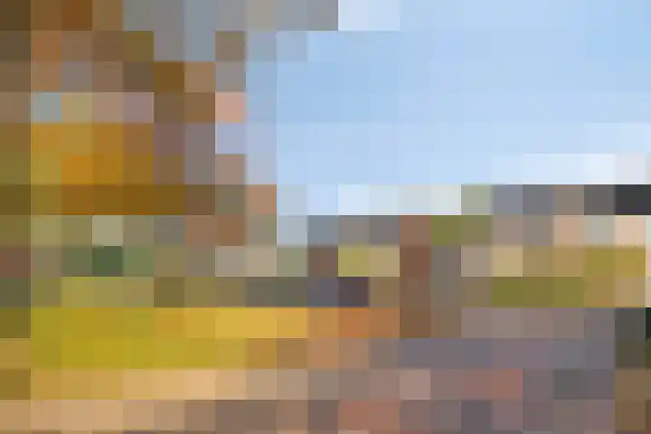 Rietmees 11 Emmen thumbnail 26