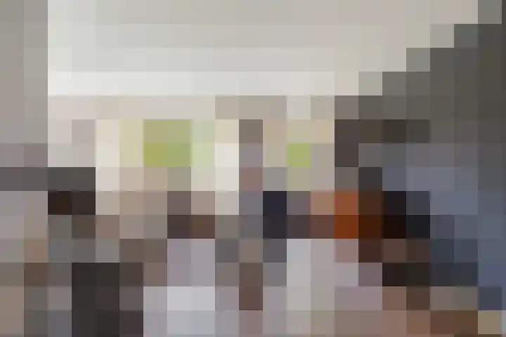 Rietmees 11 Emmen thumbnail 4