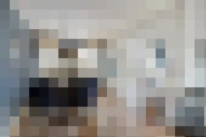 Rietmees 11 Emmen thumbnail 6