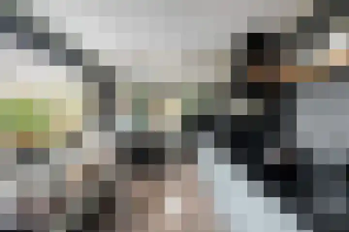 Rietmees 11 Emmen thumbnail 7