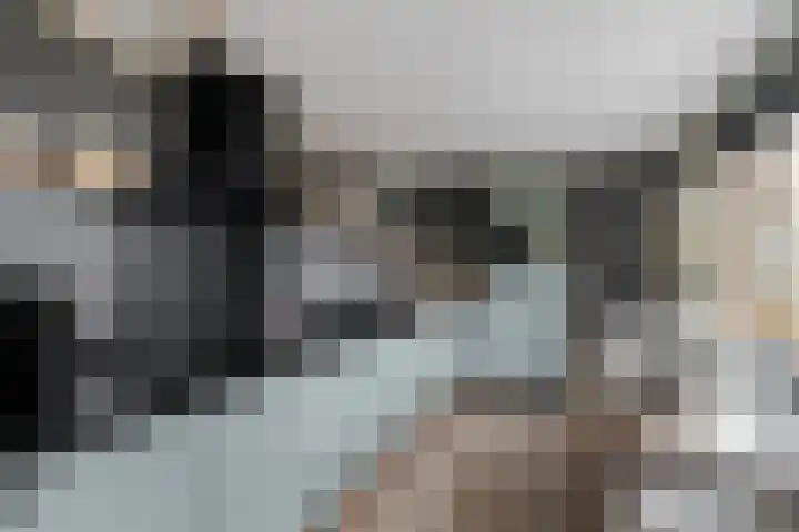 Rietmees 11 Emmen thumbnail 8