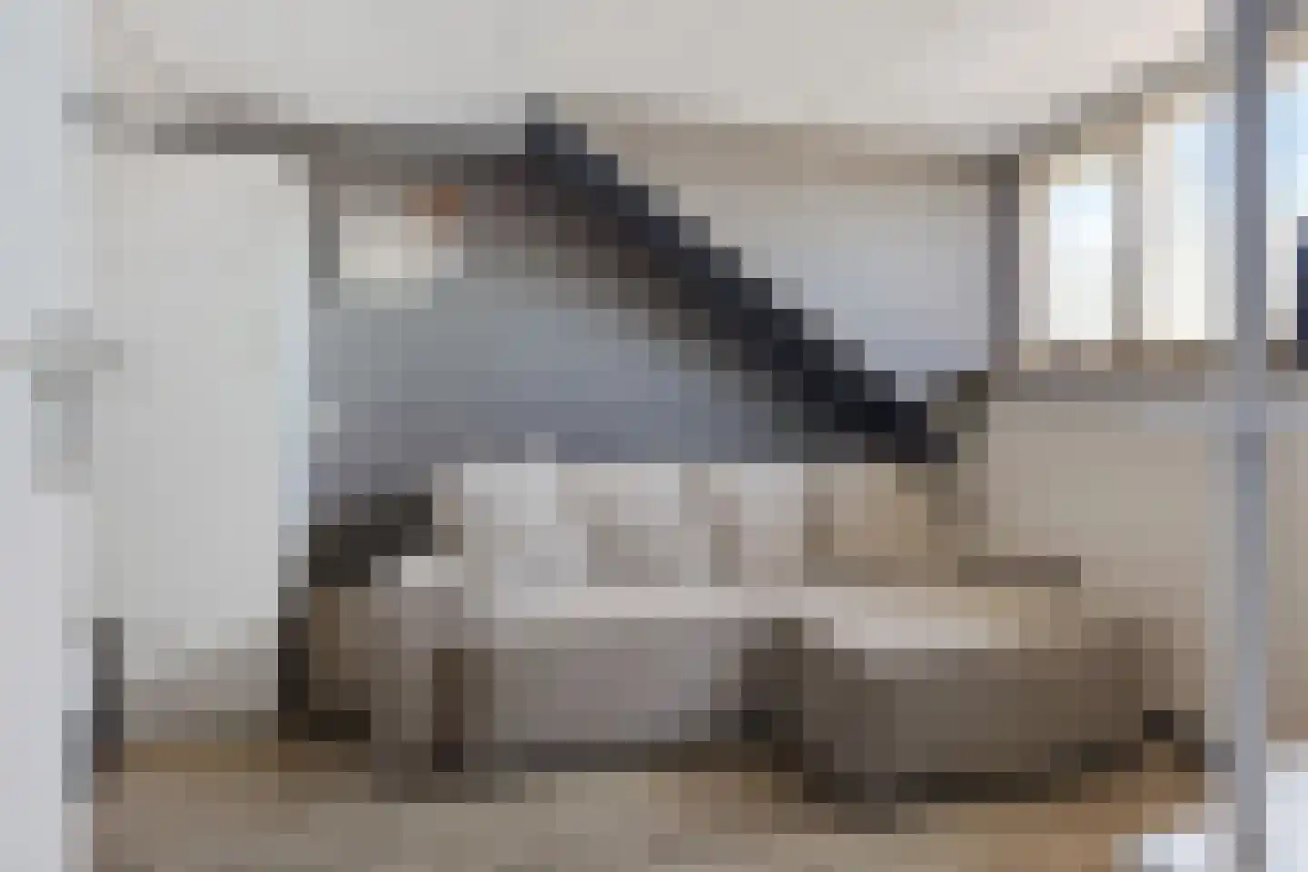Rietmees 3 Emmen thumbnail 30