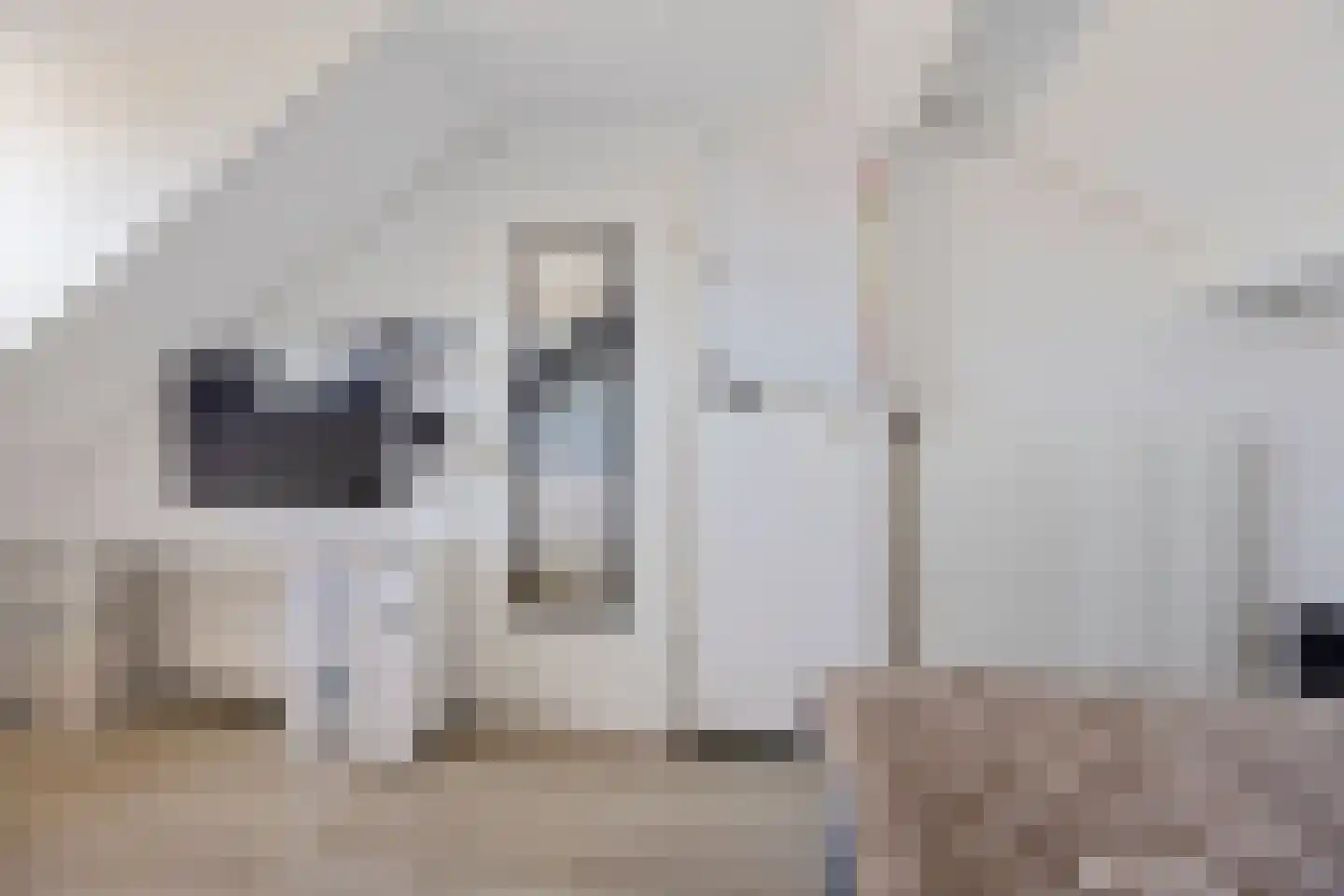 Rietmees 3 Emmen thumbnail 34