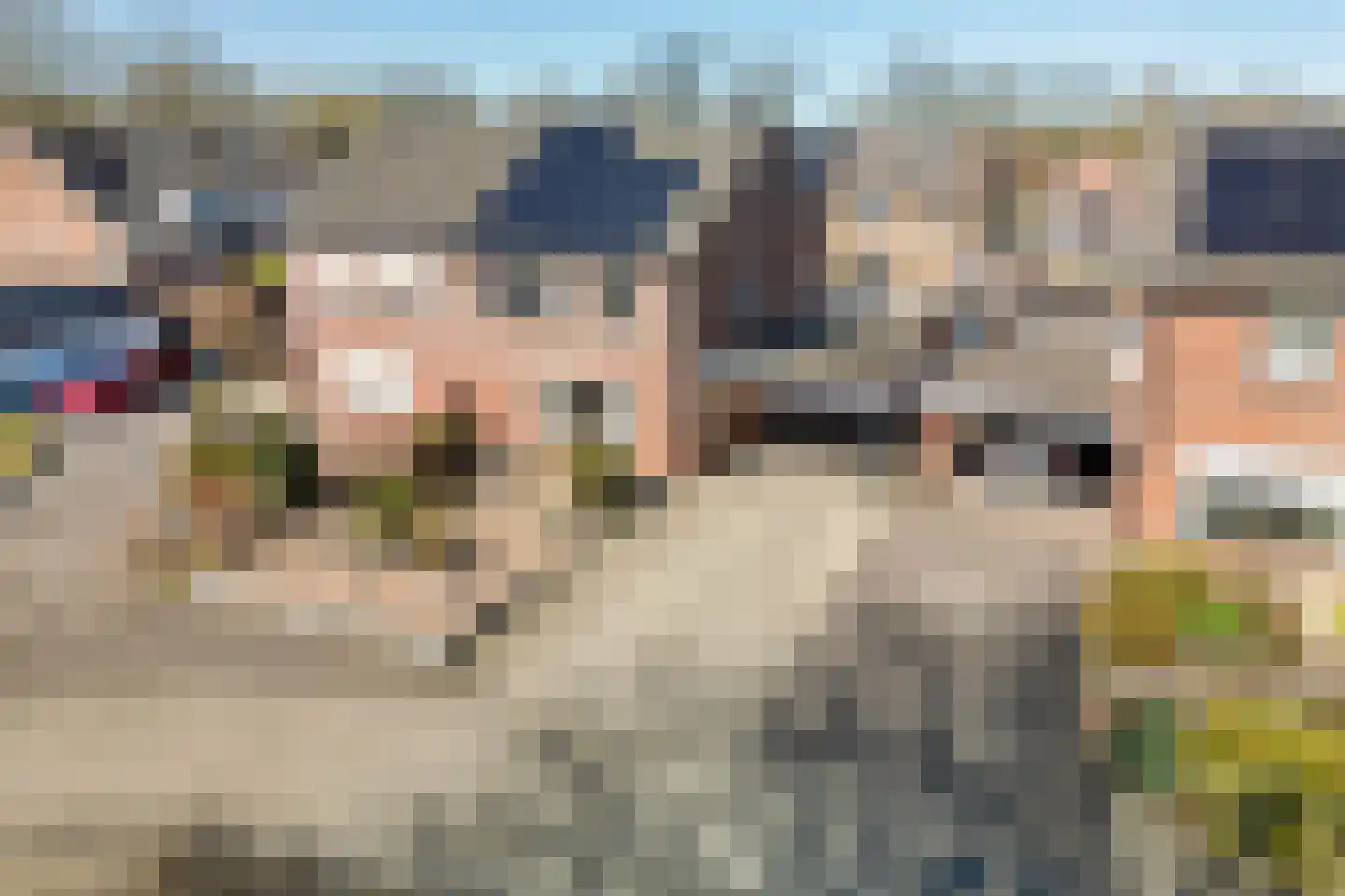 Rietmees 3 Emmen thumbnail 4