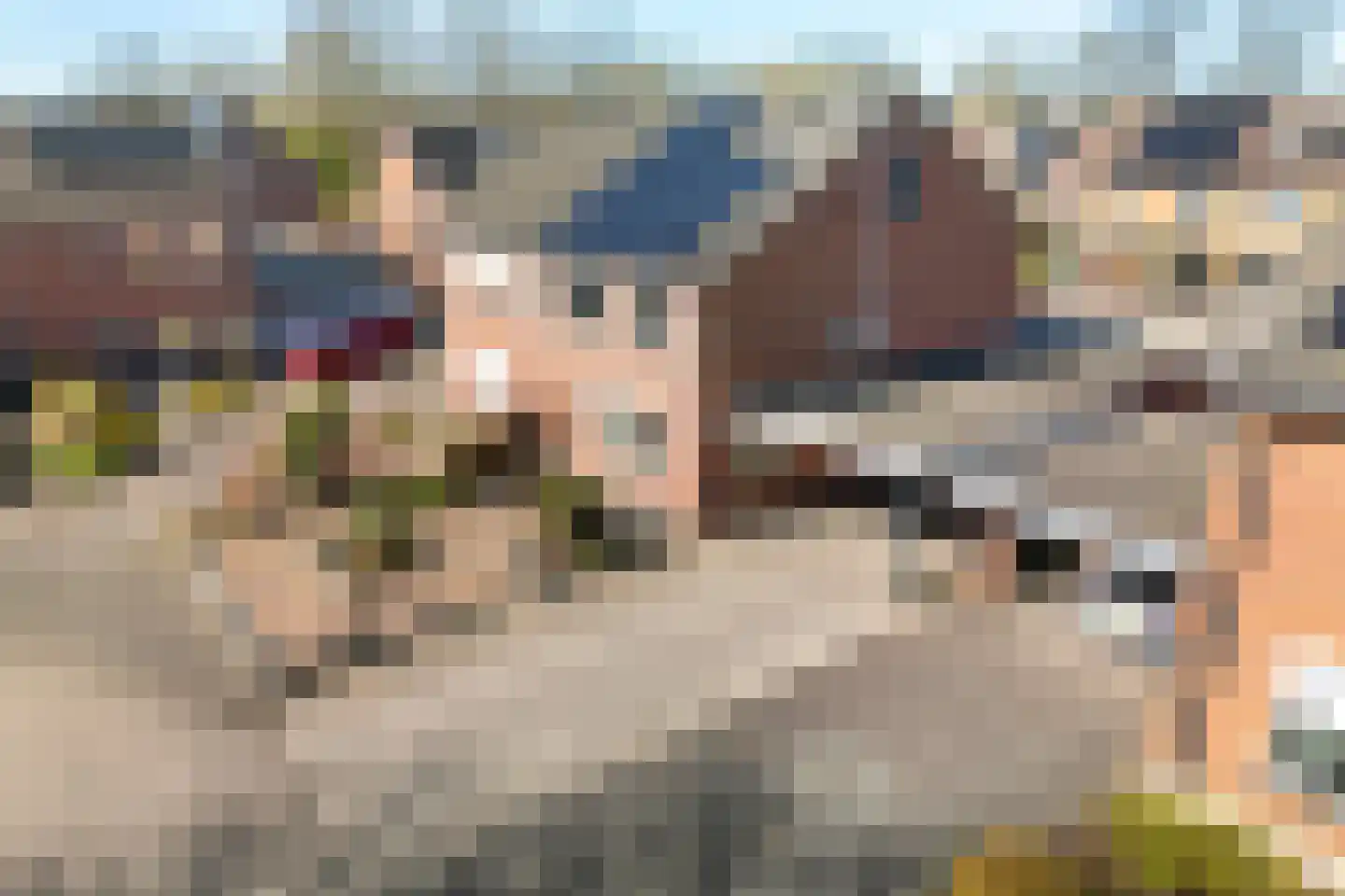 Rietmees 3 Emmen thumbnail 43