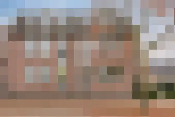 Rietmees 3 Emmen thumbnail 44