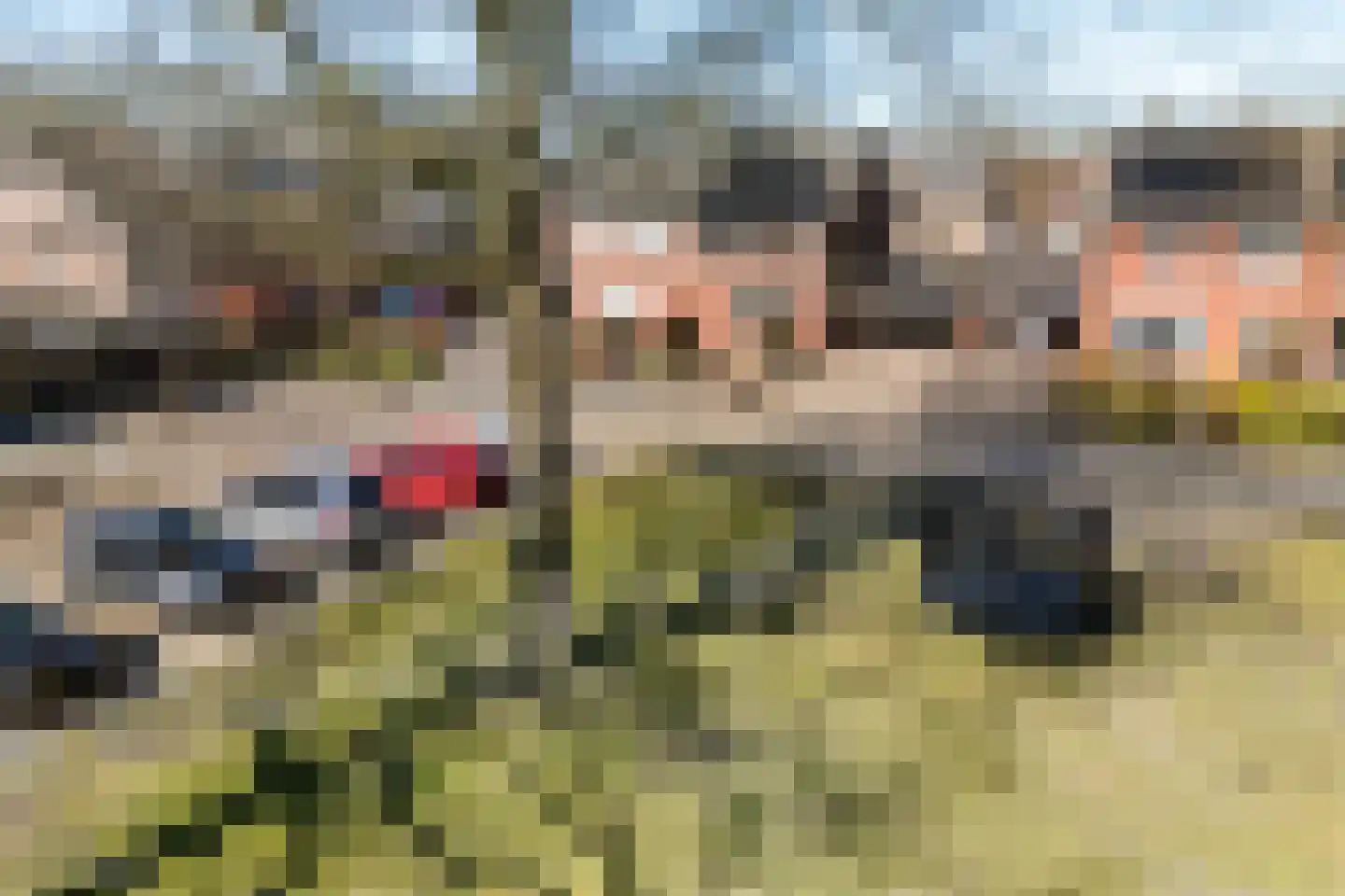 Rietmees 3 Emmen thumbnail 44