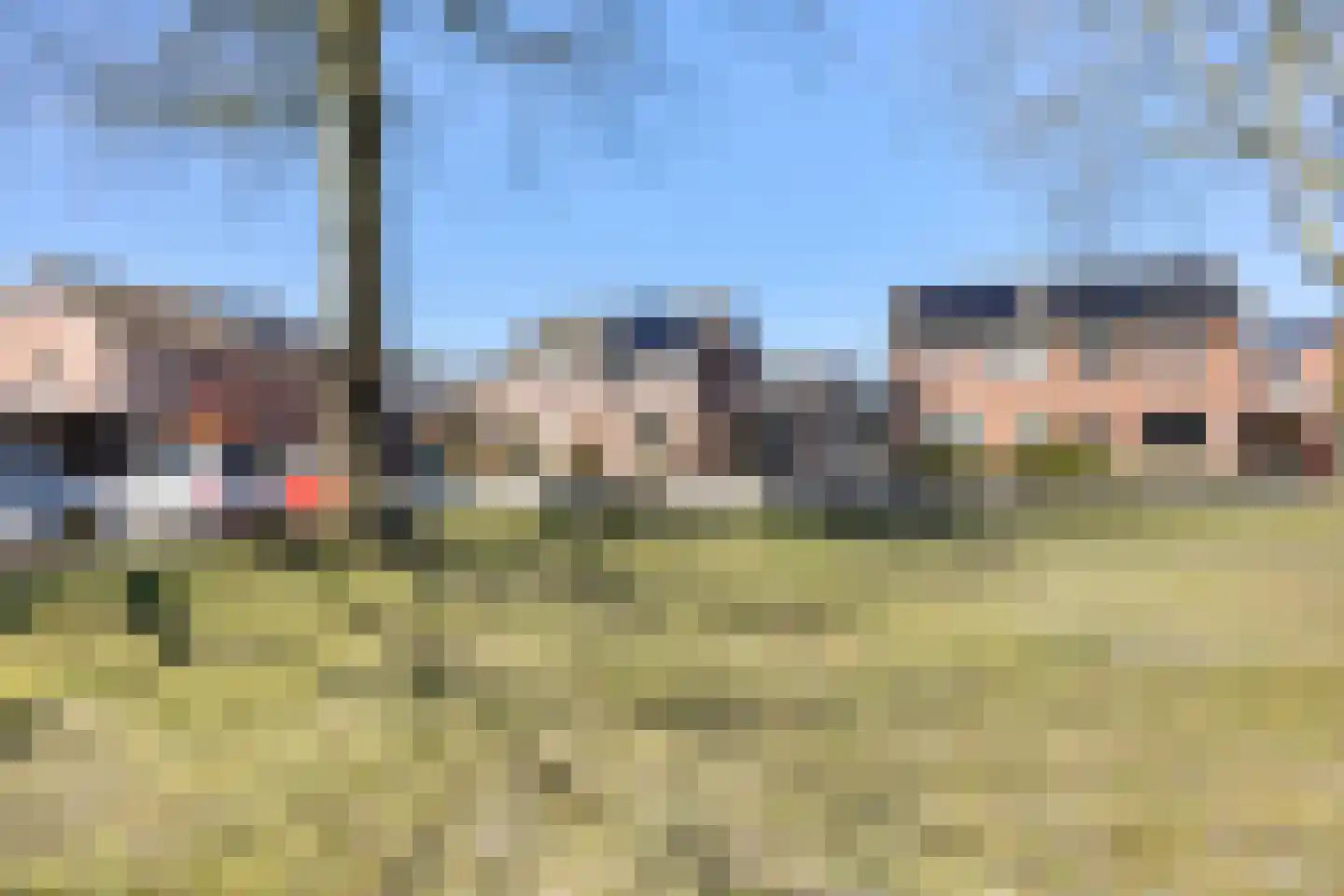Rietmees 3 Emmen thumbnail 45