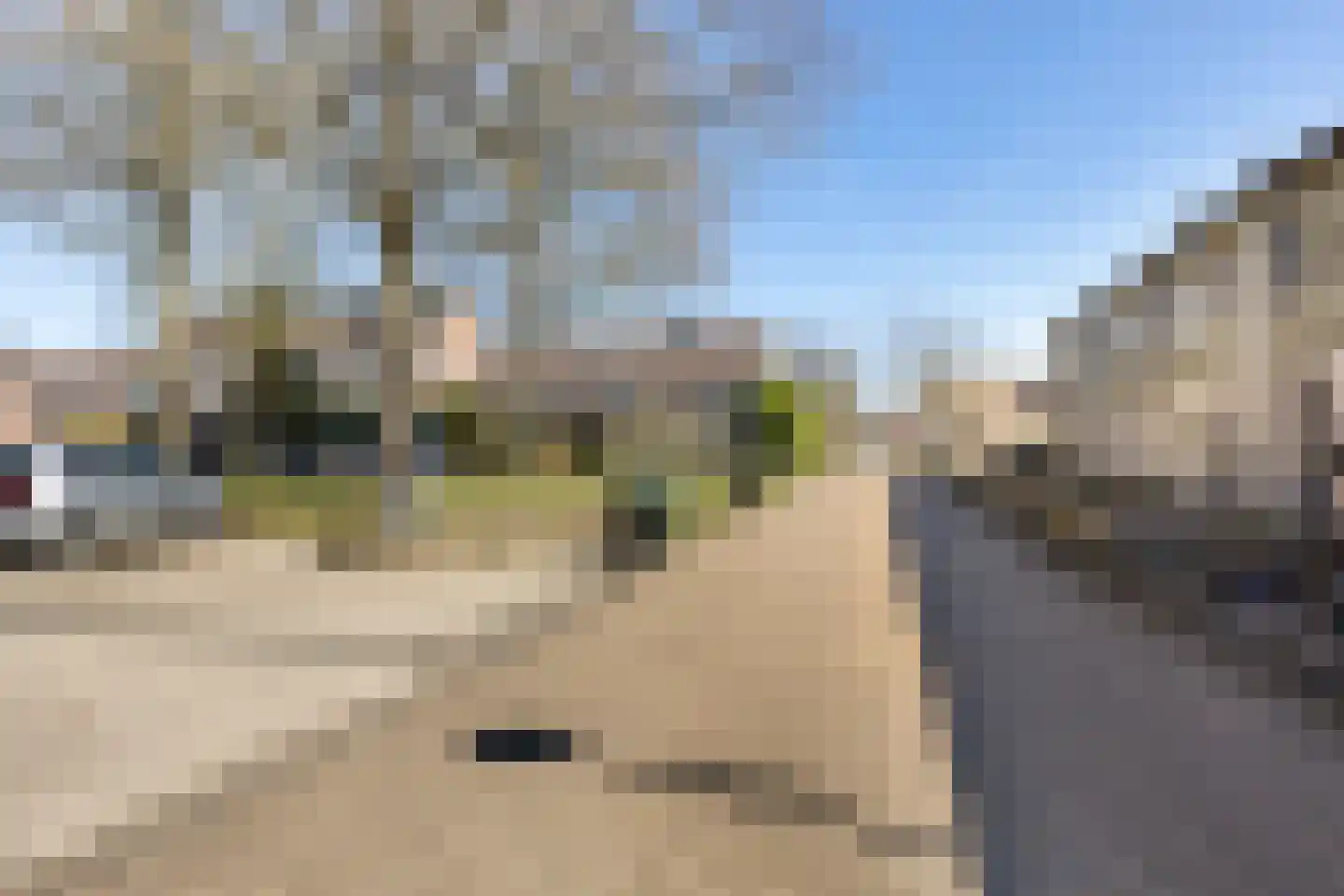 Rietmees 3 Emmen thumbnail 47