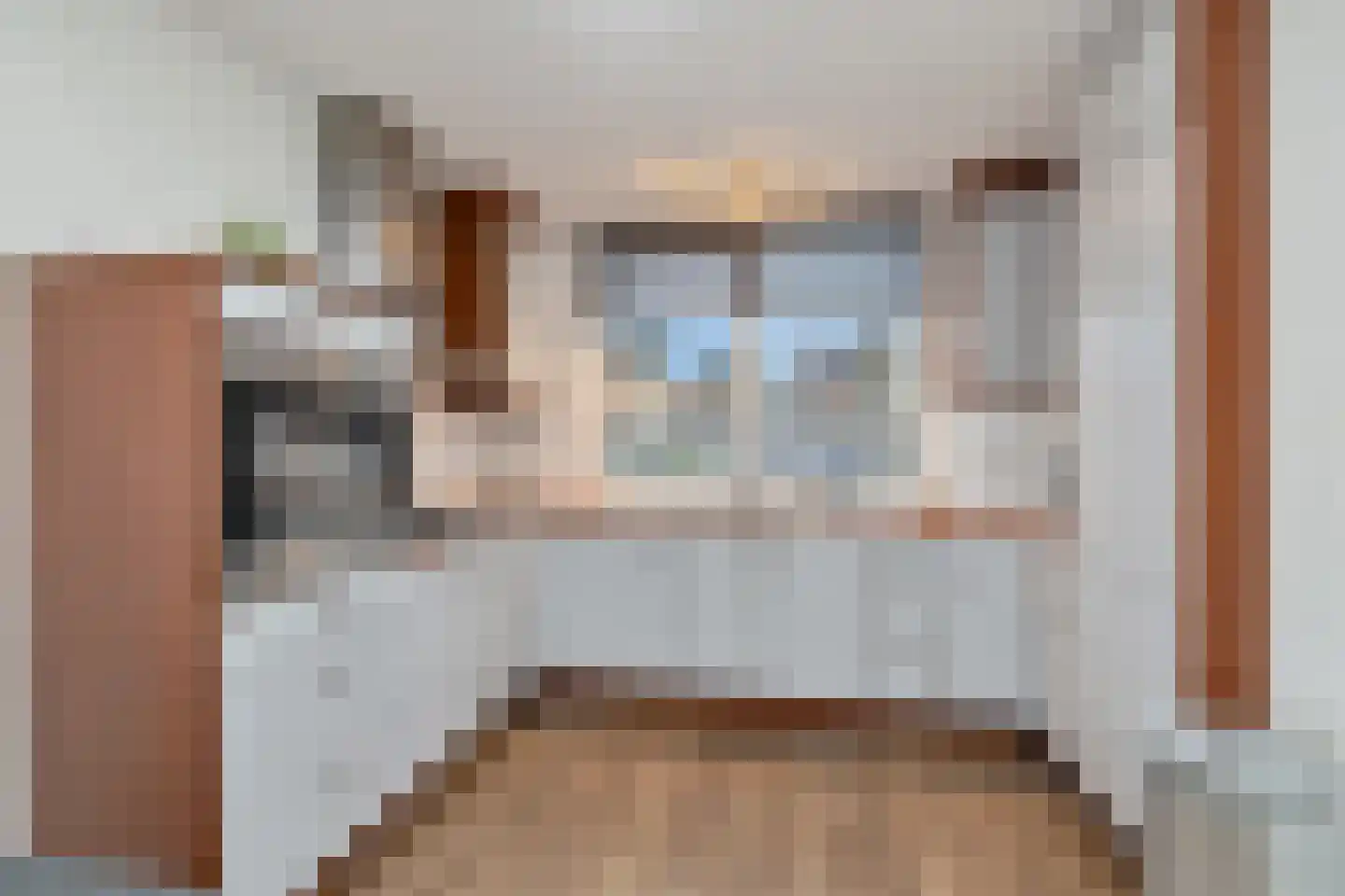 Rietmees 51 Emmen thumbnail 13