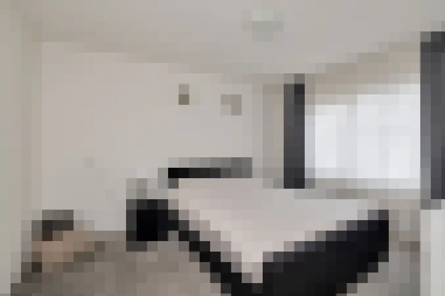 Rietmees 51 Emmen thumbnail 34