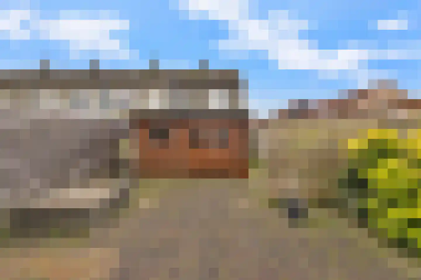 Rietmees 51 Emmen thumbnail 40