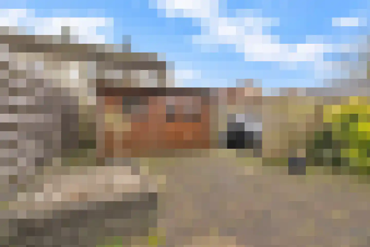 Rietmees 51 Emmen thumbnail 41