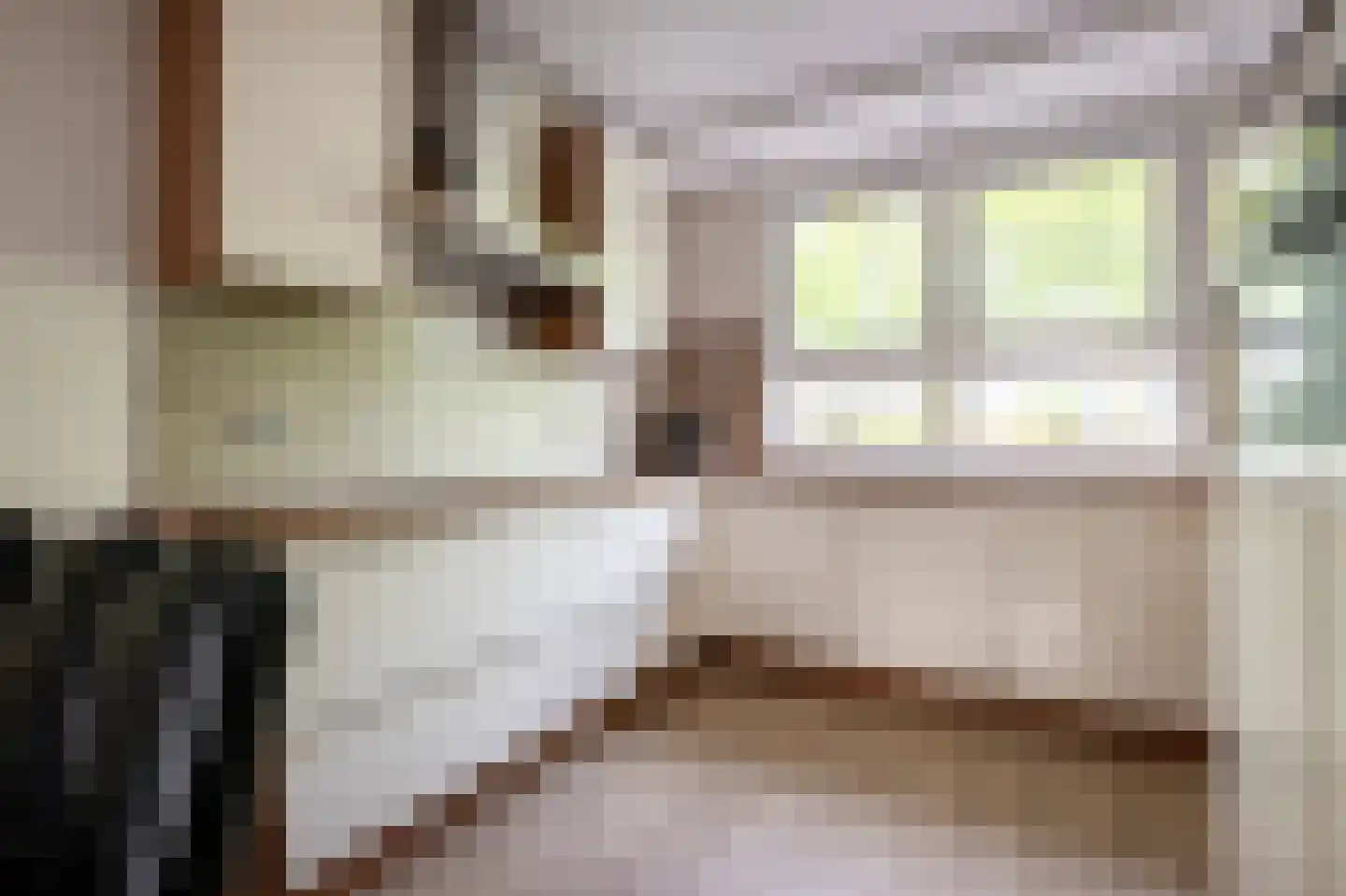 Rietmees 65 Emmen thumbnail 10