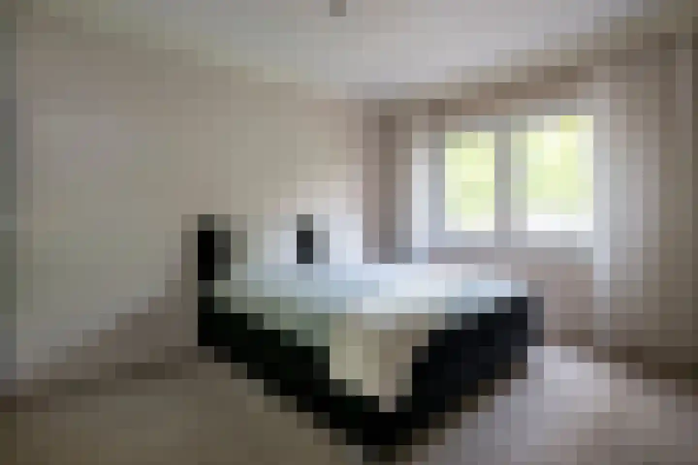 Rietmees 65 Emmen thumbnail 14