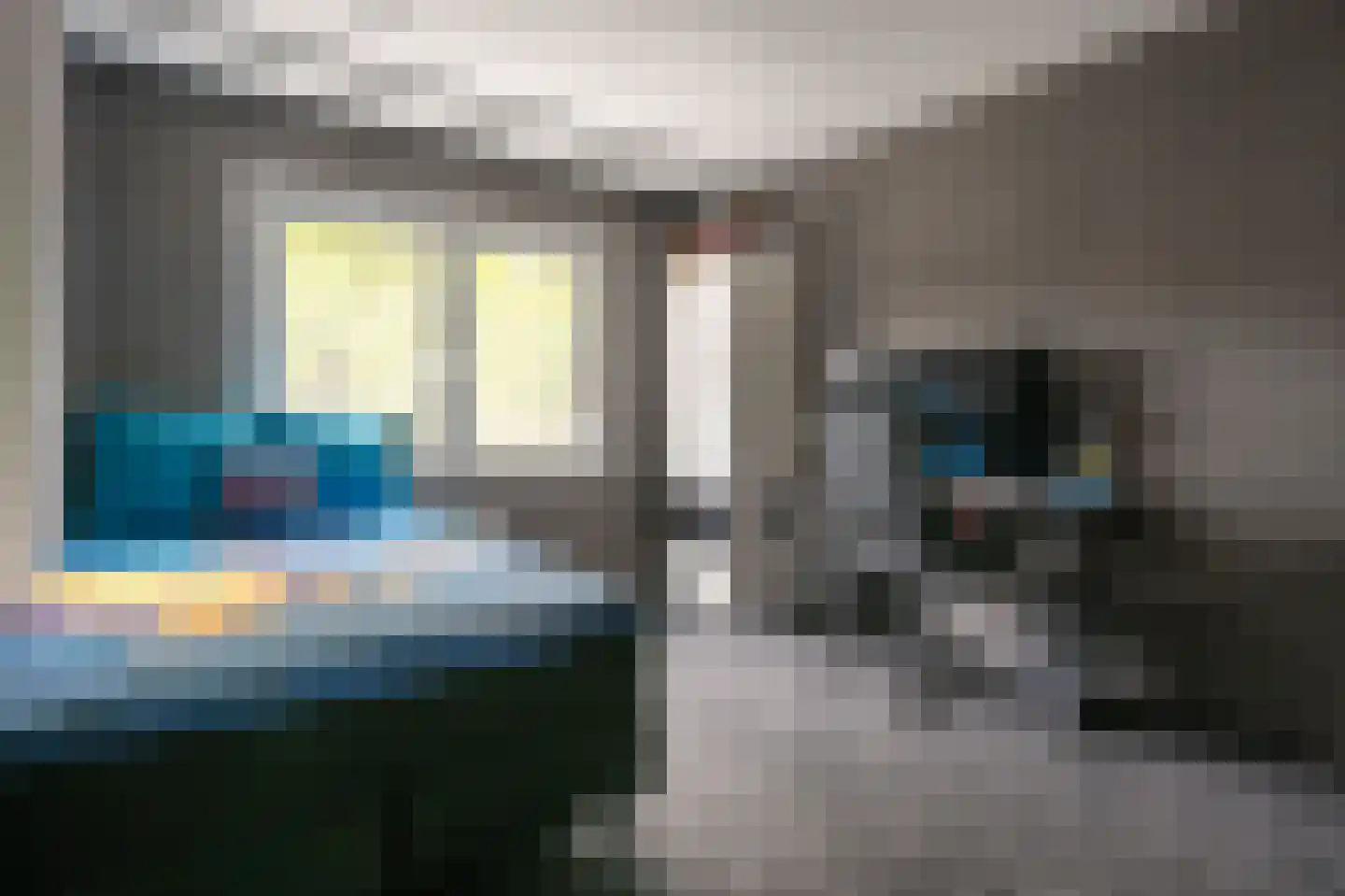 Rietmees 65 Emmen thumbnail 15