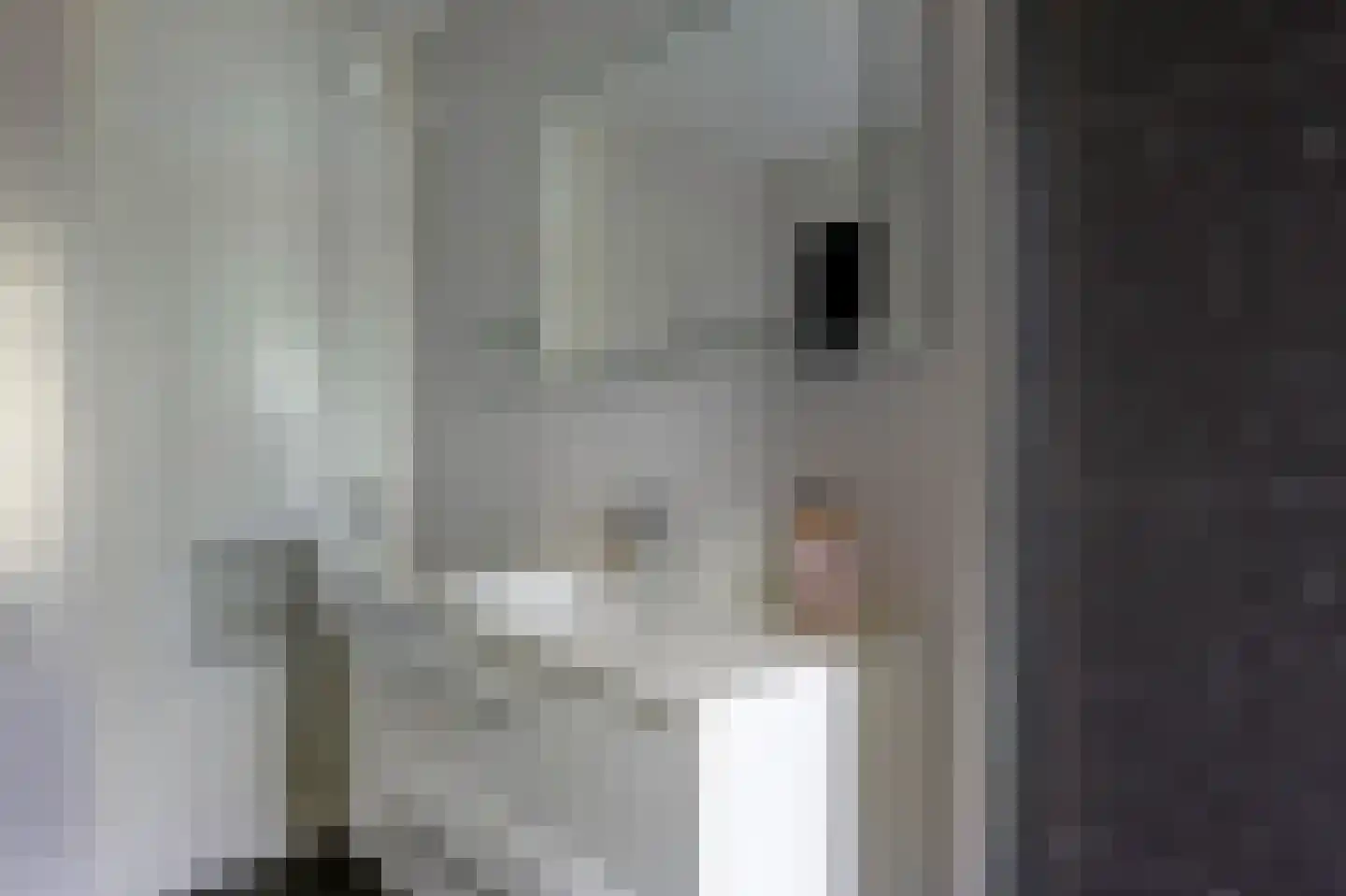 Rietmees 65 Emmen thumbnail 20