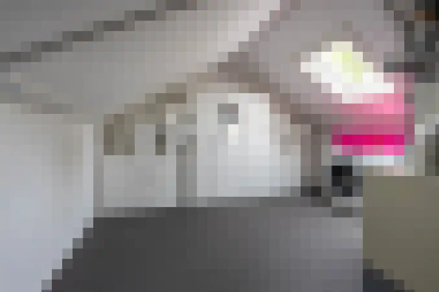 Rietmees 65 Emmen thumbnail 21
