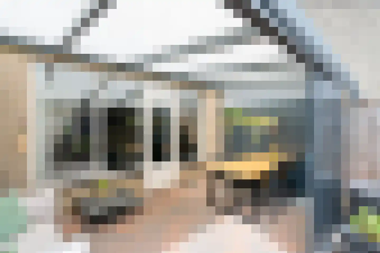 Rietmees 65 Emmen thumbnail 22