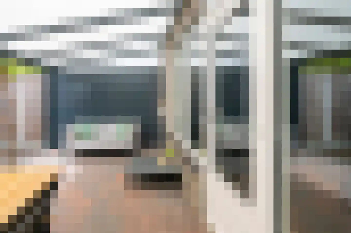 Rietmees 65 Emmen thumbnail 23