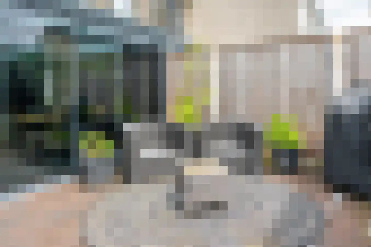 Rietmees 65 Emmen thumbnail 24
