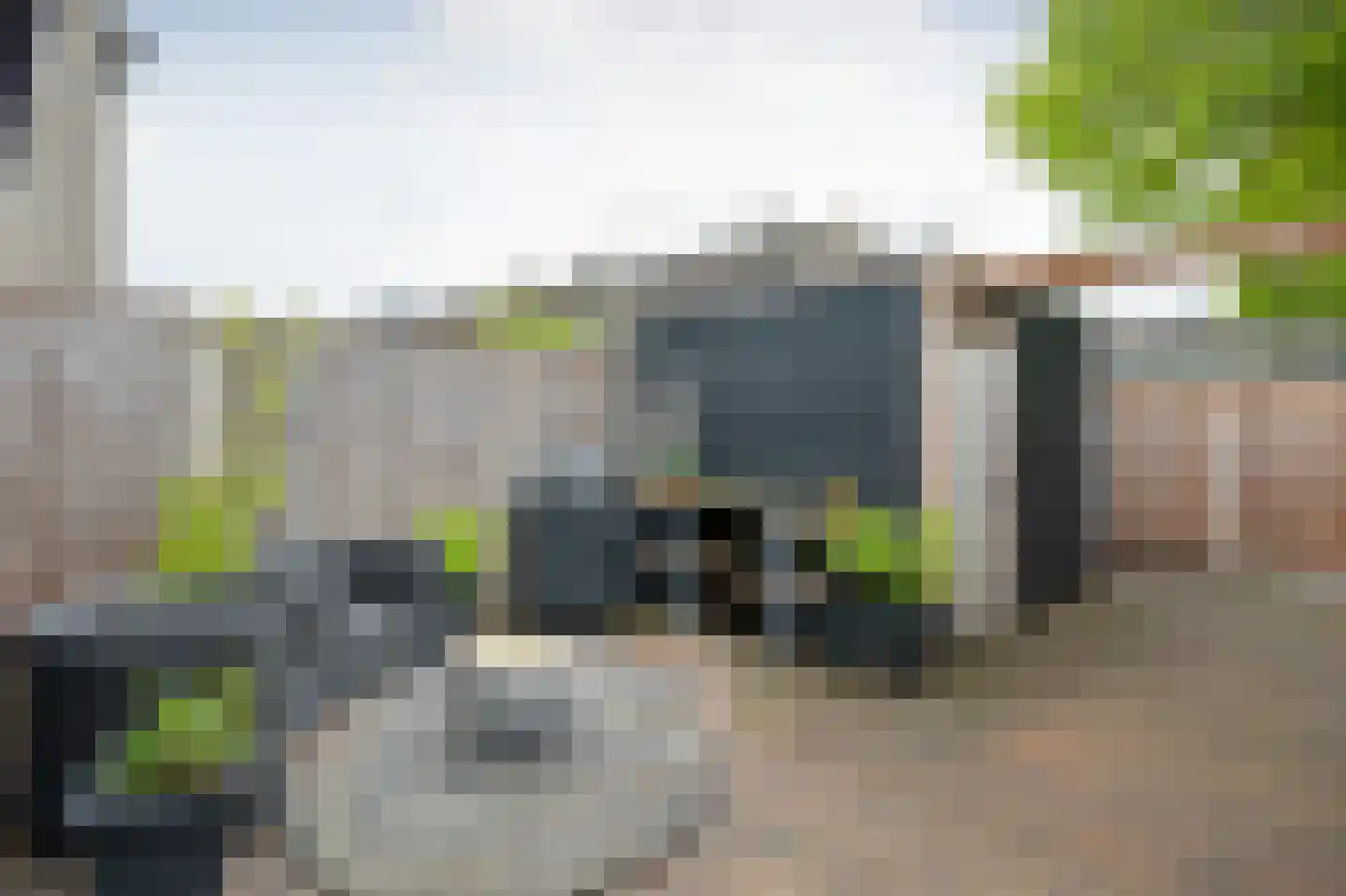 Rietmees 65 Emmen thumbnail 25