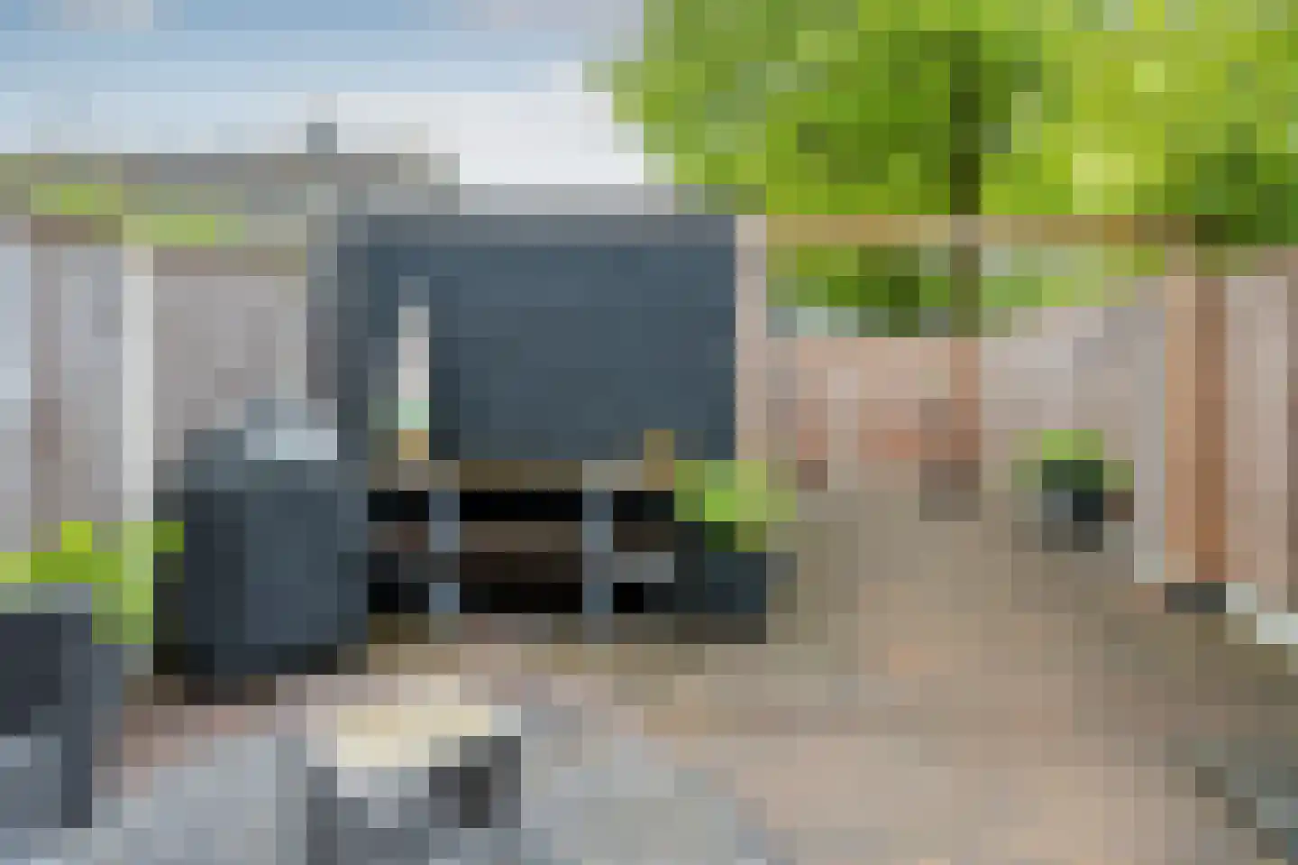Rietmees 65 Emmen thumbnail 26