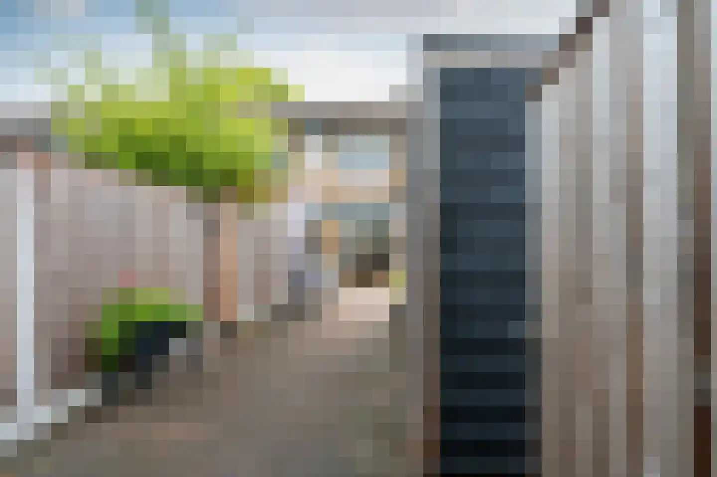 Rietmees 65 Emmen thumbnail 27
