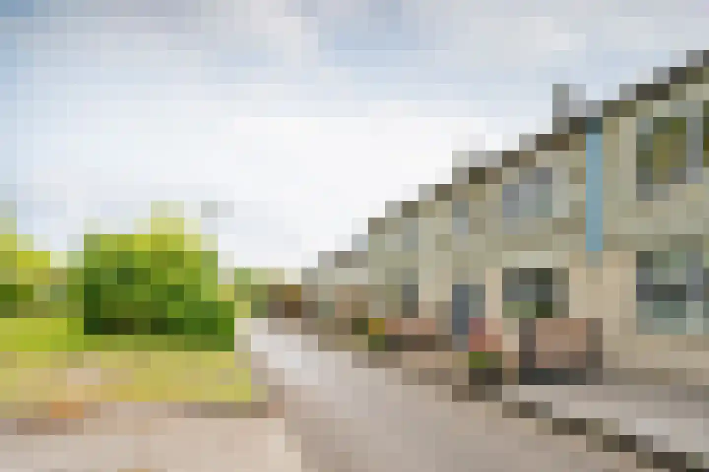 Rietmees 65 Emmen thumbnail 30