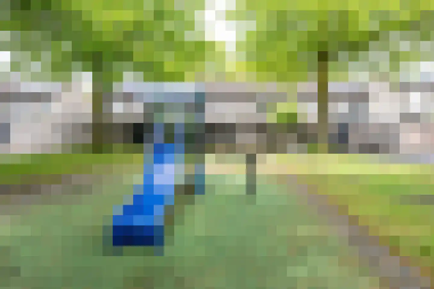 Rietmees 65 Emmen thumbnail 33