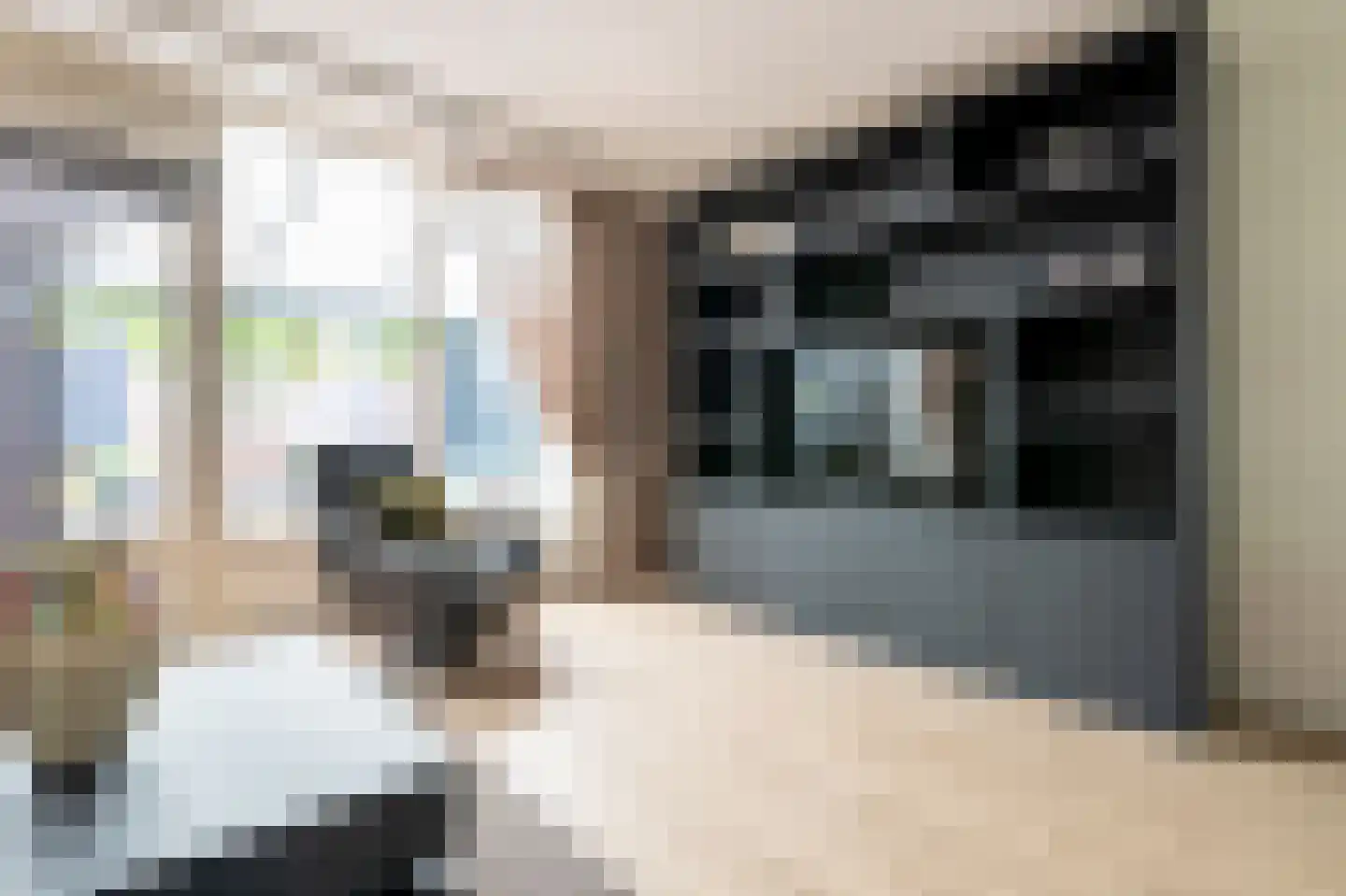 Rietmees 65 Emmen thumbnail 5