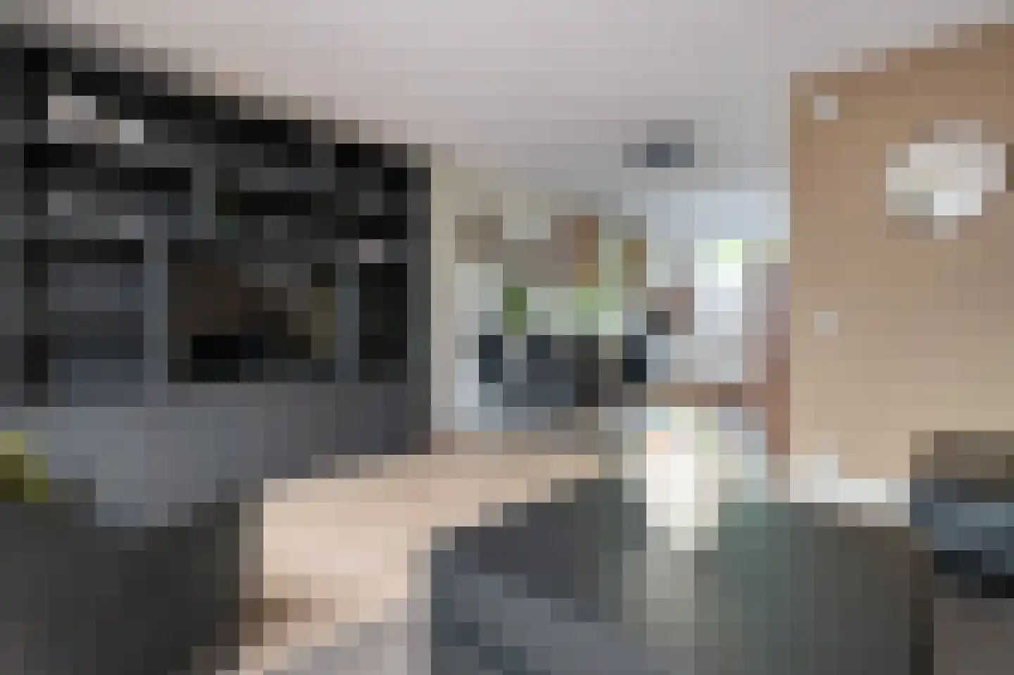 Rietmees 65 Emmen thumbnail 6