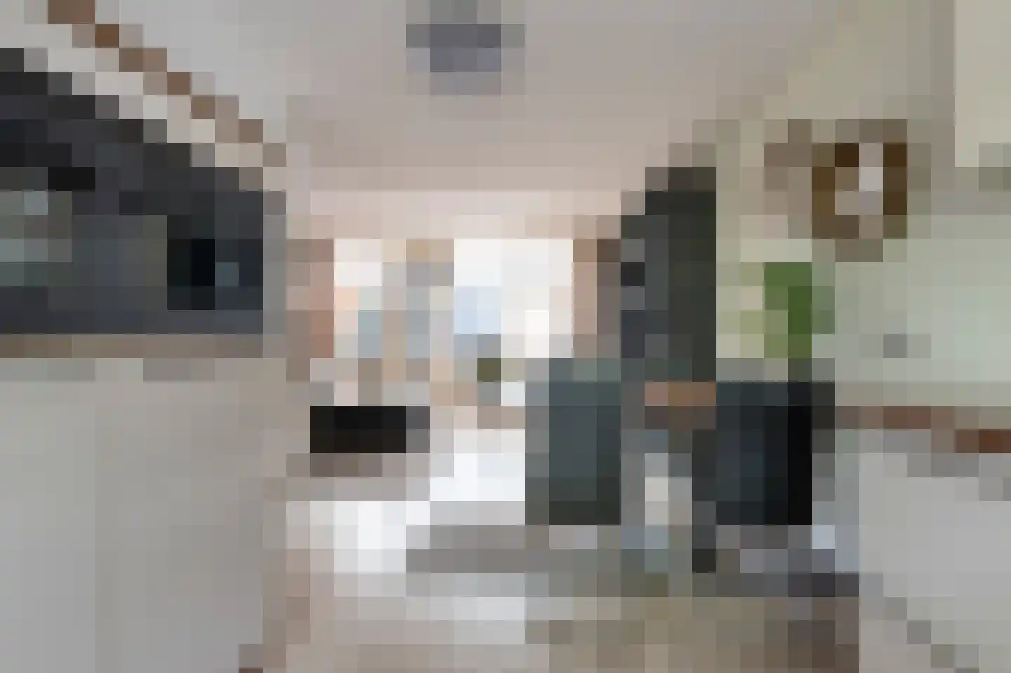 Rietmees 65 Emmen thumbnail 9