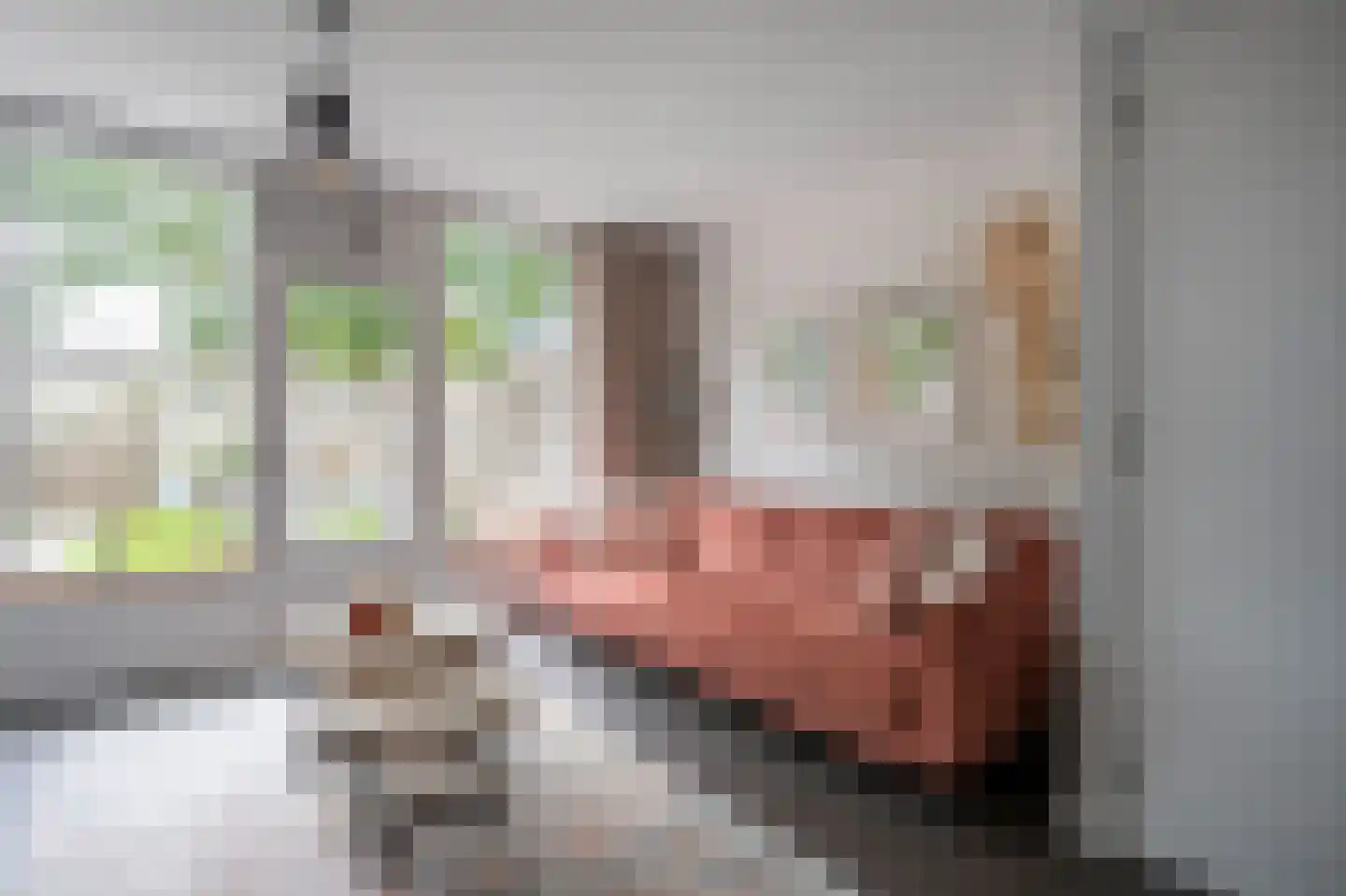Rietmees 85 Emmen thumbnail 11