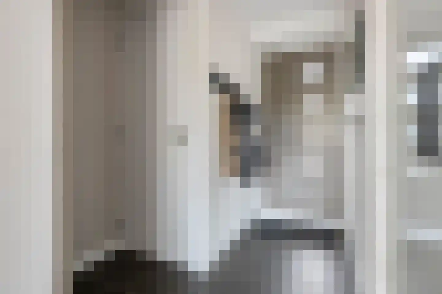 Rietmees 85 Emmen thumbnail 12