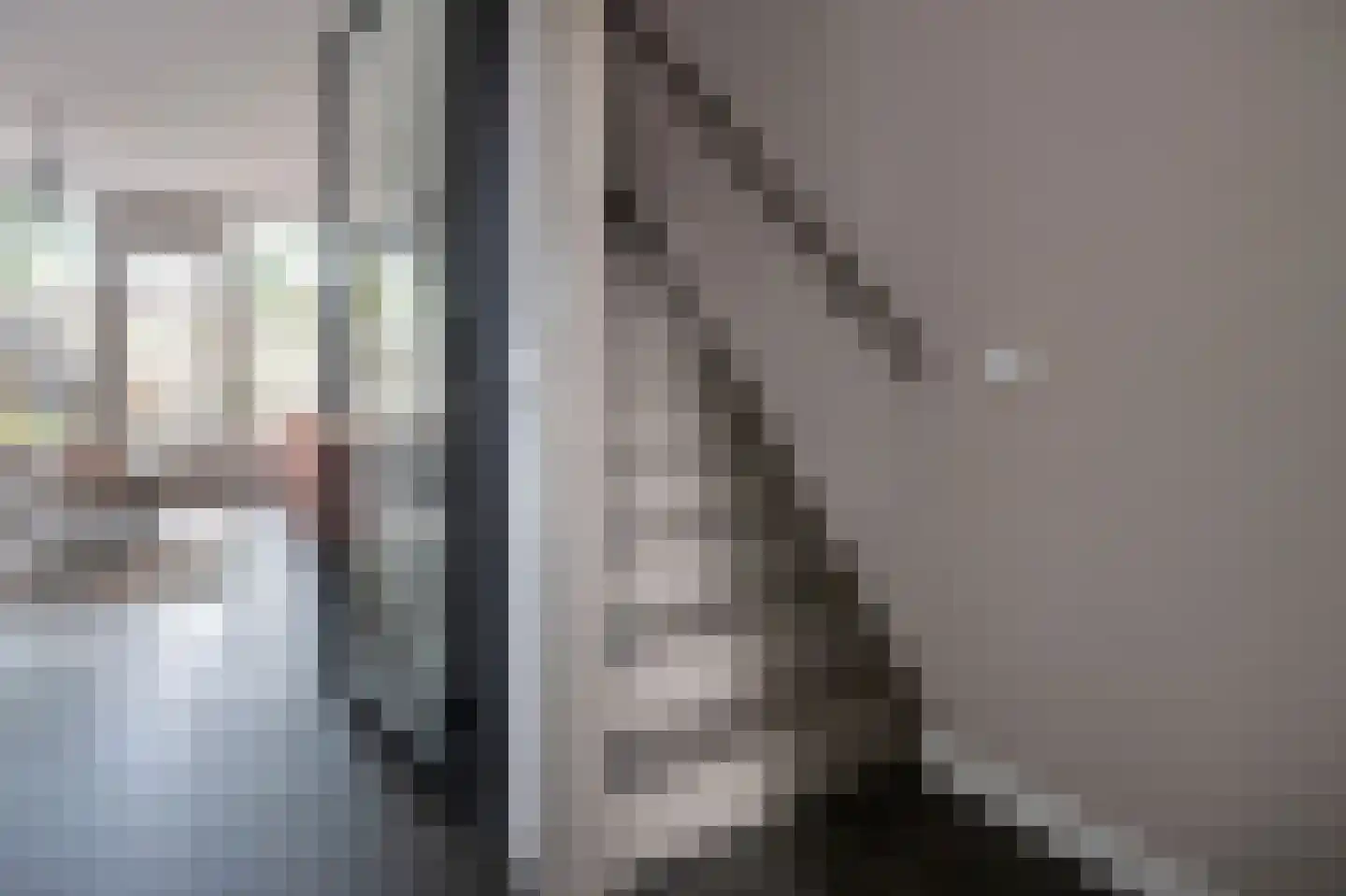 Rietmees 85 Emmen thumbnail 14
